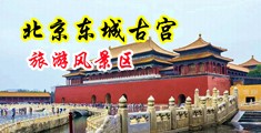 骚穴喷水的视频中国北京-东城古宫旅游风景区
